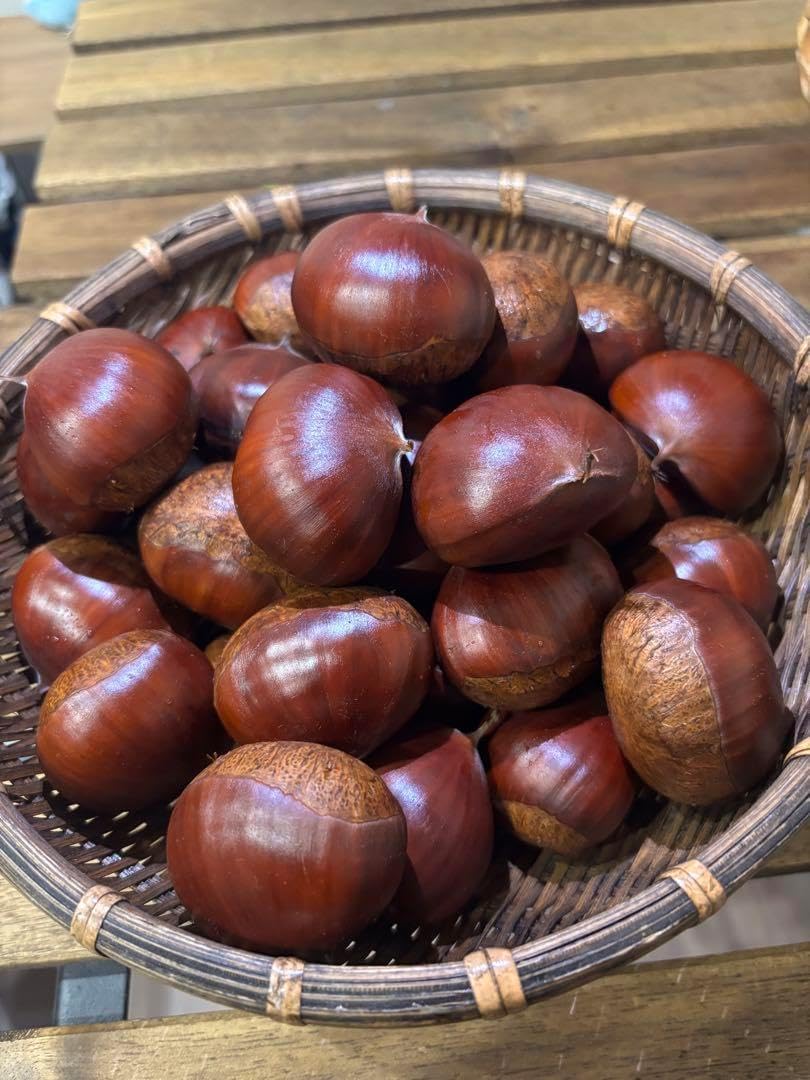 特大粒 4L生栗 無農薬 約5kg 特大粒 4L生栗 無農薬